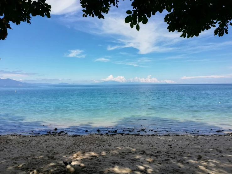 view from the shore of a calm beach