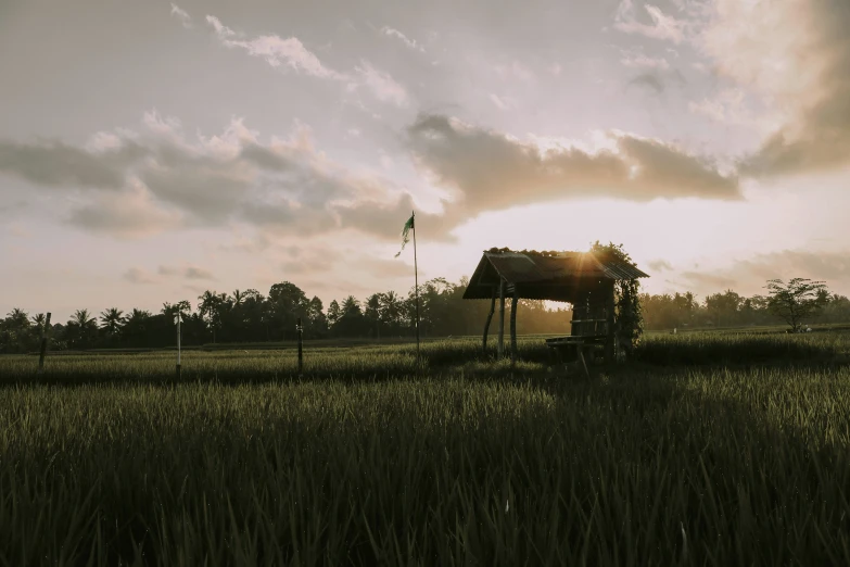 a field with a large truck and grass on it