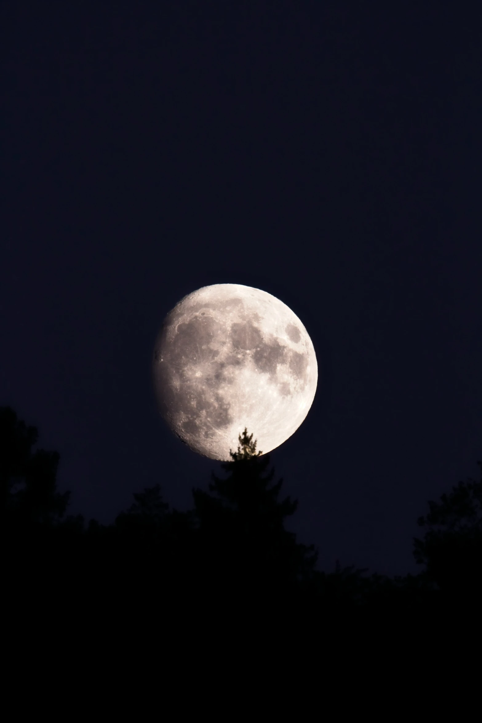 the moon with trees in the background at night