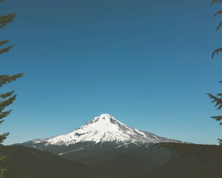 there is a large mountain seen through the trees