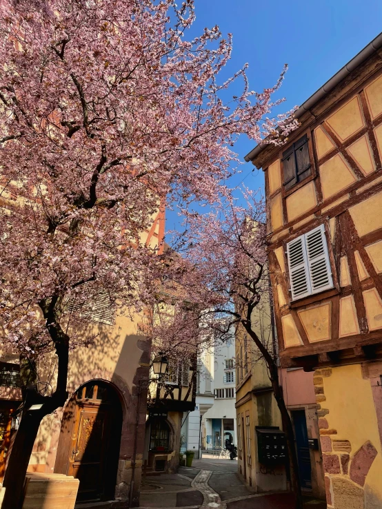 an image of a beautiful street in japan