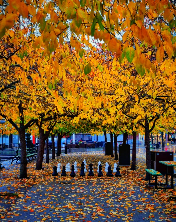 fall leaves cover benches near a fire hydrant in a park