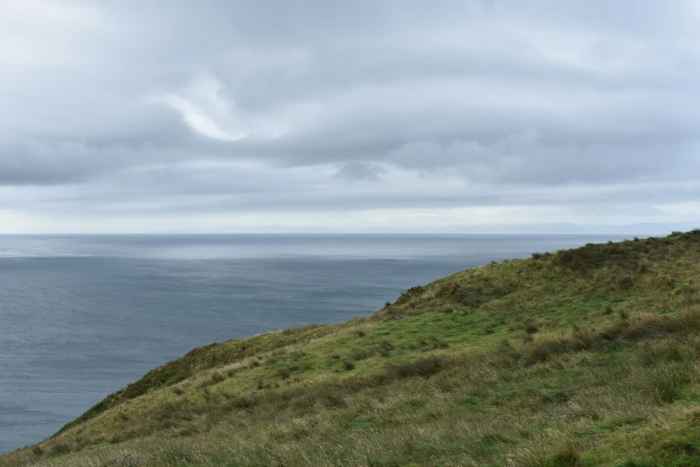 a lone white horse on top of a hill