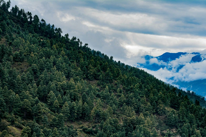 some mountains and trees on a cloudy day