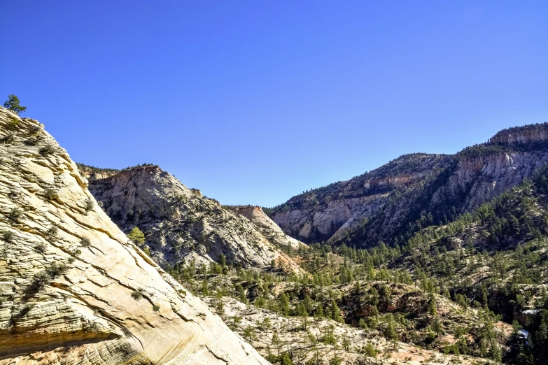 trees and mountains surround a clear sky in the background