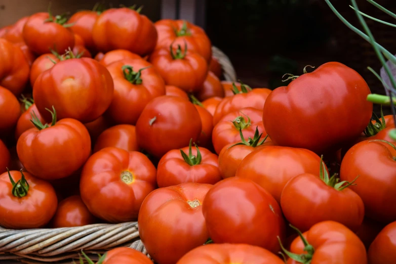 there is many tomatoes on the table for sale