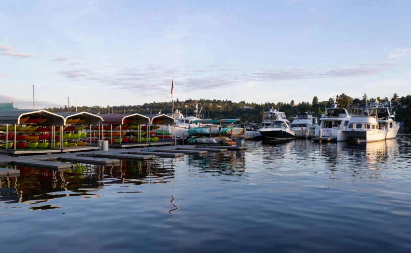 many boats sit docked on a dock near the water