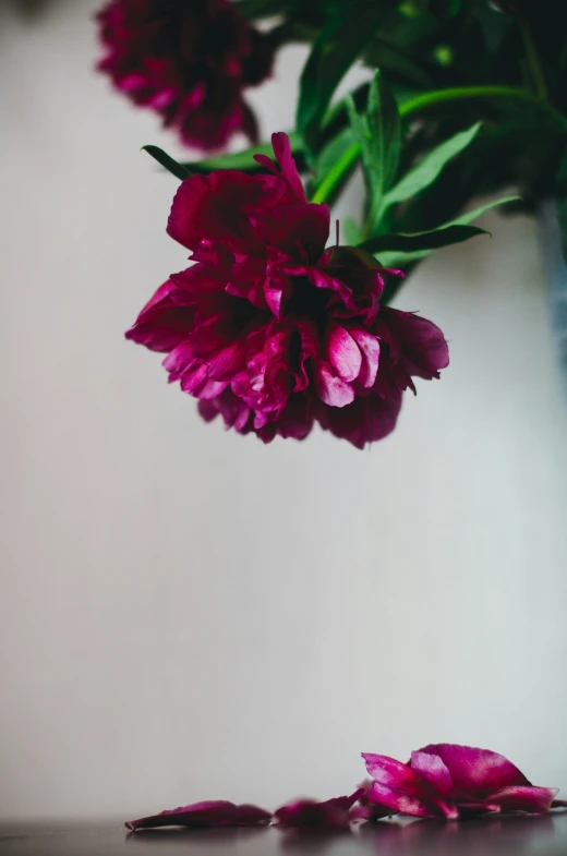 a vase full of flowers and leaves floating in water