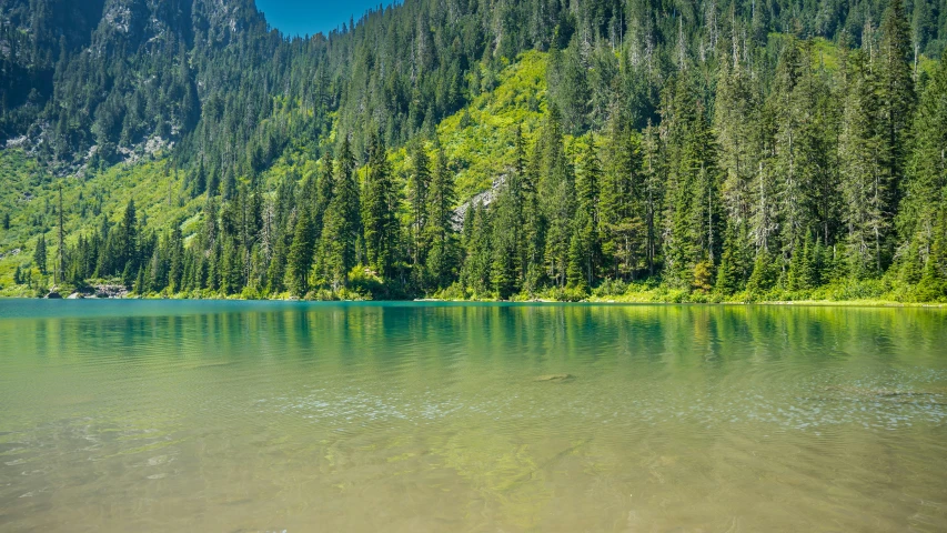 green water with trees on the mountain side