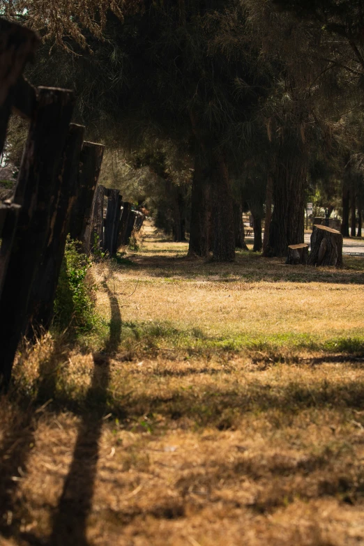 a small farm fence in front of a row of trees