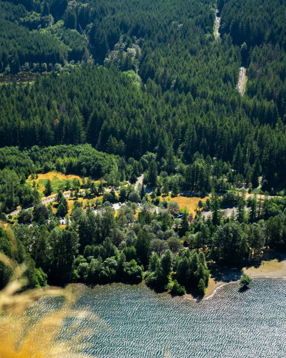 an aerial view of a wooded area in a valley