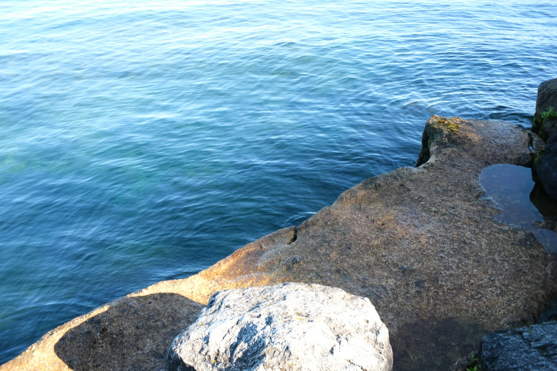 a rock that is near the water with a few birds