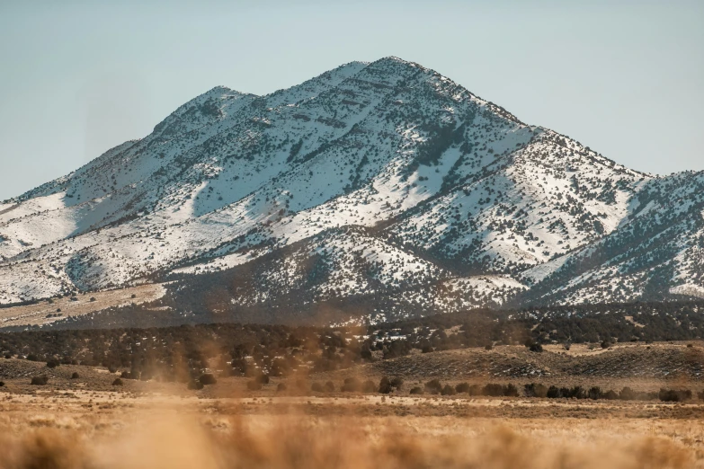 a field with grass in front of a large snow covered mountain