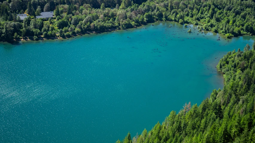 an aerial view of trees around a beautiful blue lake