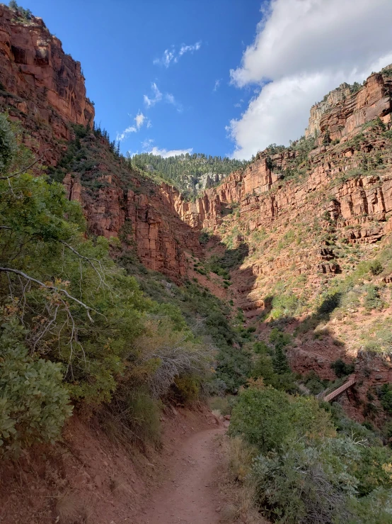 a dirt trail in the middle of a large canyon