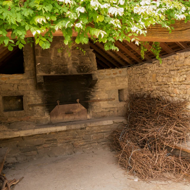 this is a building with wood fire place and some plants