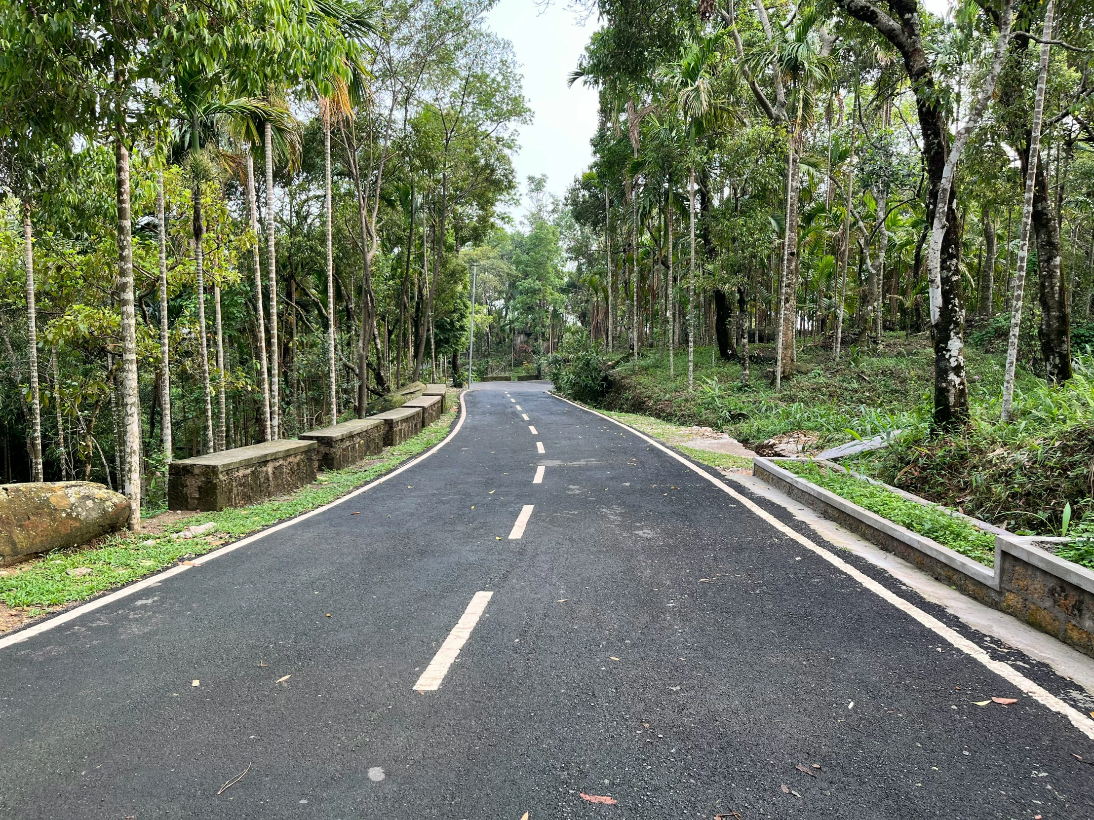 a street that is leading up to some trees