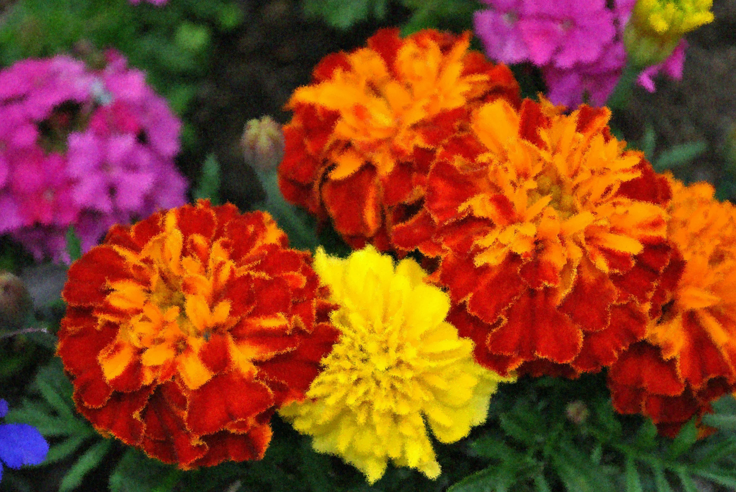 many different colored flowers in an open field