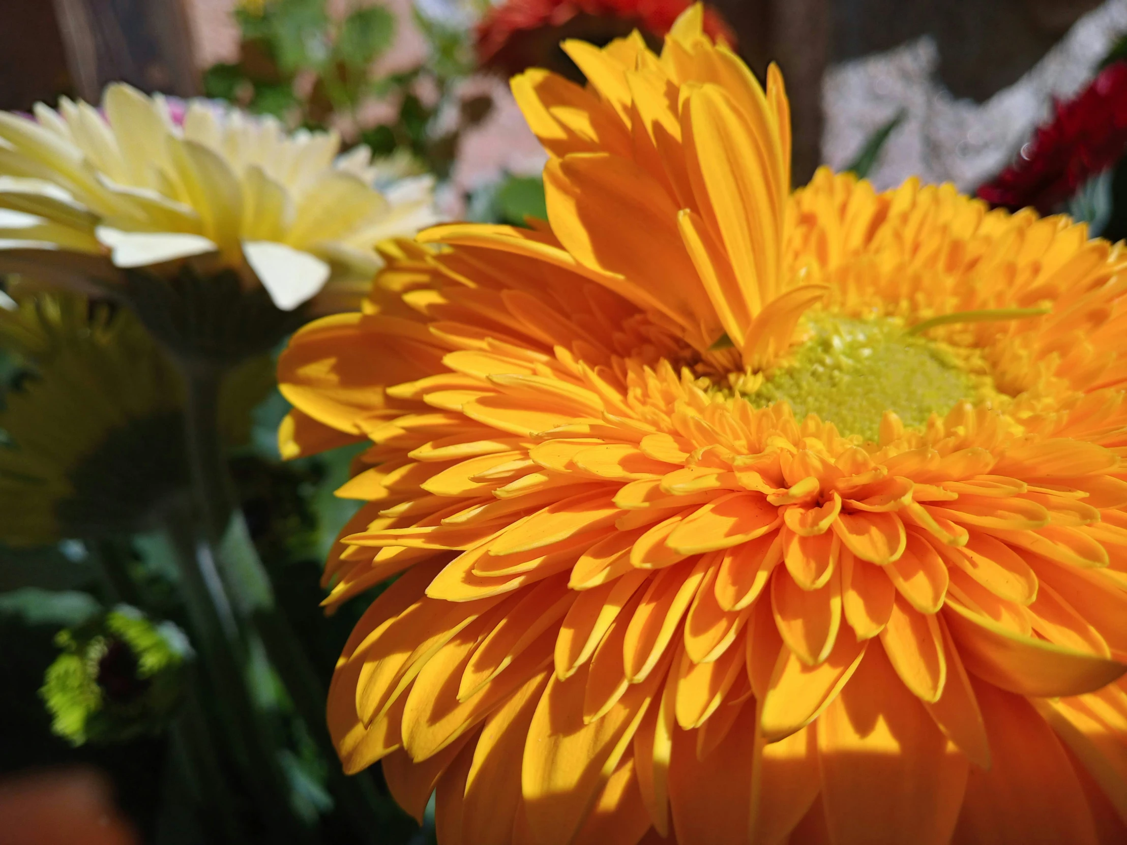 a bunch of yellow and red flowers with leaves