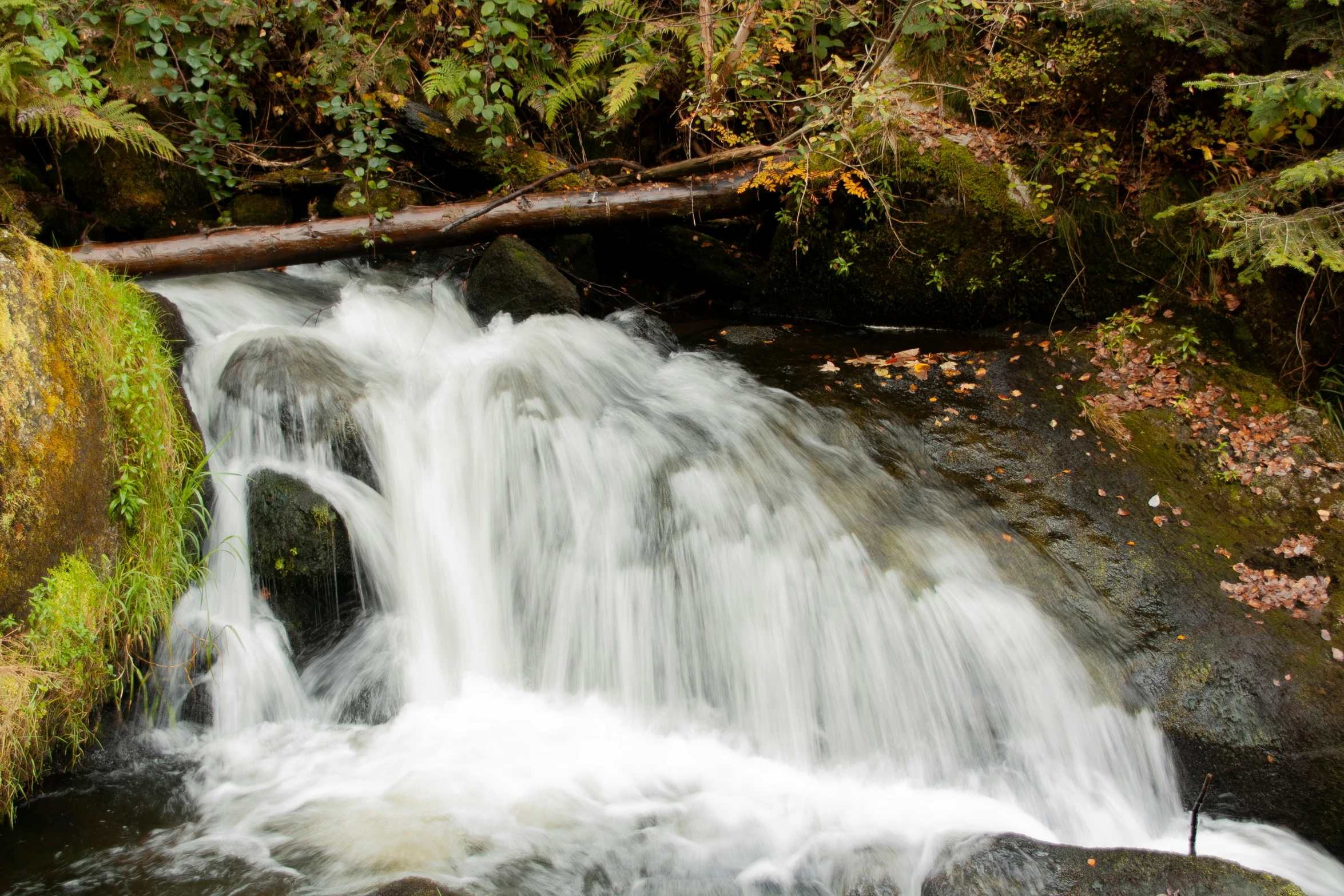 a large waterfall is in the middle of a forest