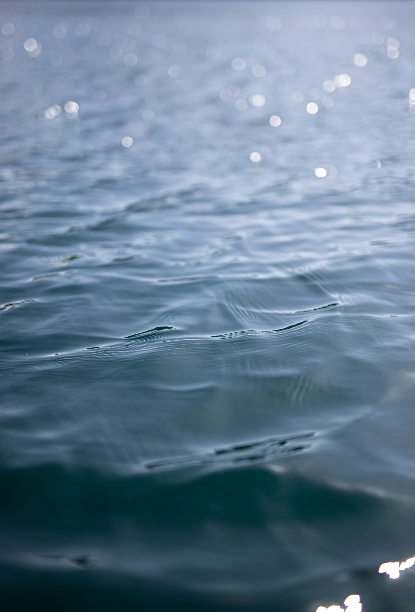 a close - up of water with many spots in it