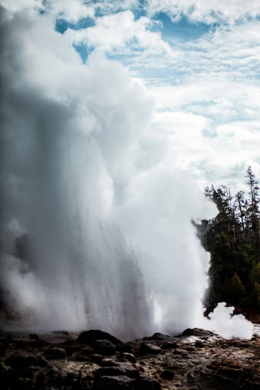 a large steam blow in the air near trees