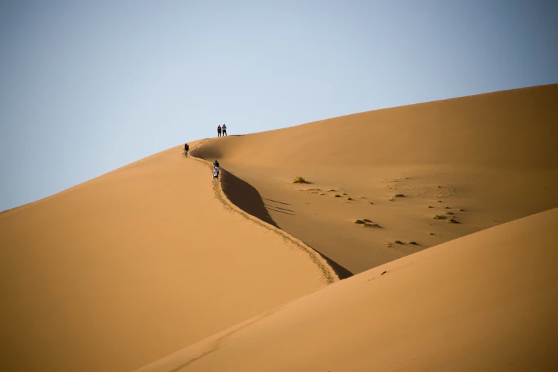 several people walk on the sand dune at the desert