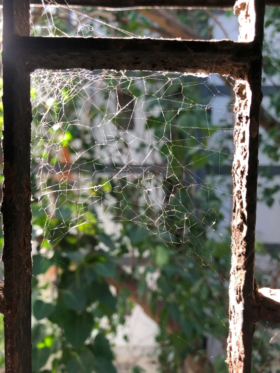 spider web hanging from the side of an old building