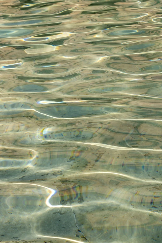 water reflecting sunlight in a pool of water