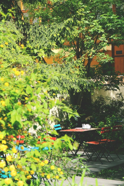 a small patio with tables and a fire hydrant