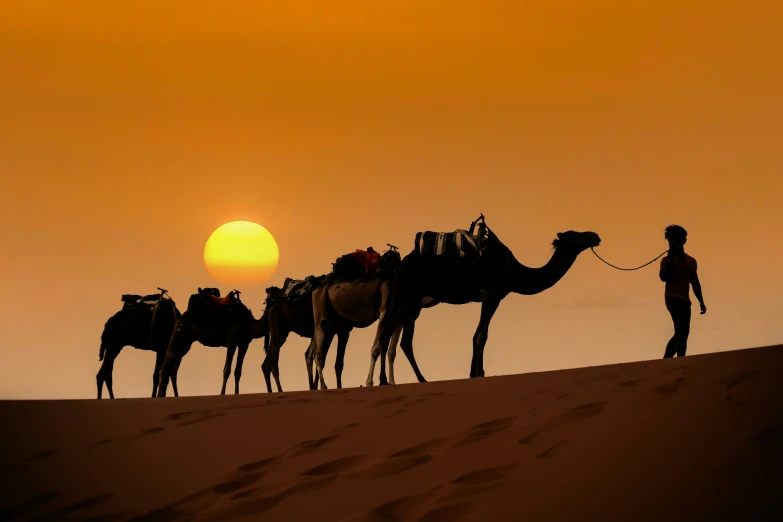 a lone camel standing next to a couple of people with a sun in the background