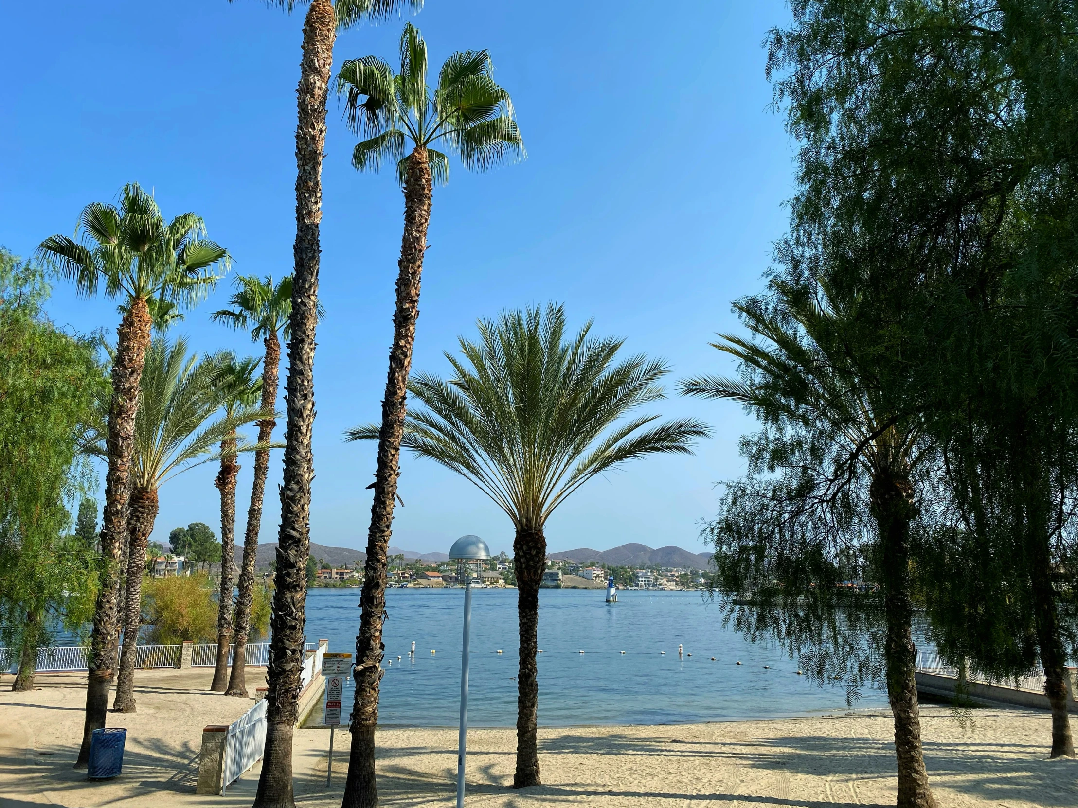 an empty sandy beach with palm trees and benches