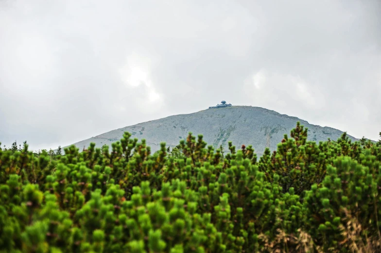 a mountain top with trees on each side