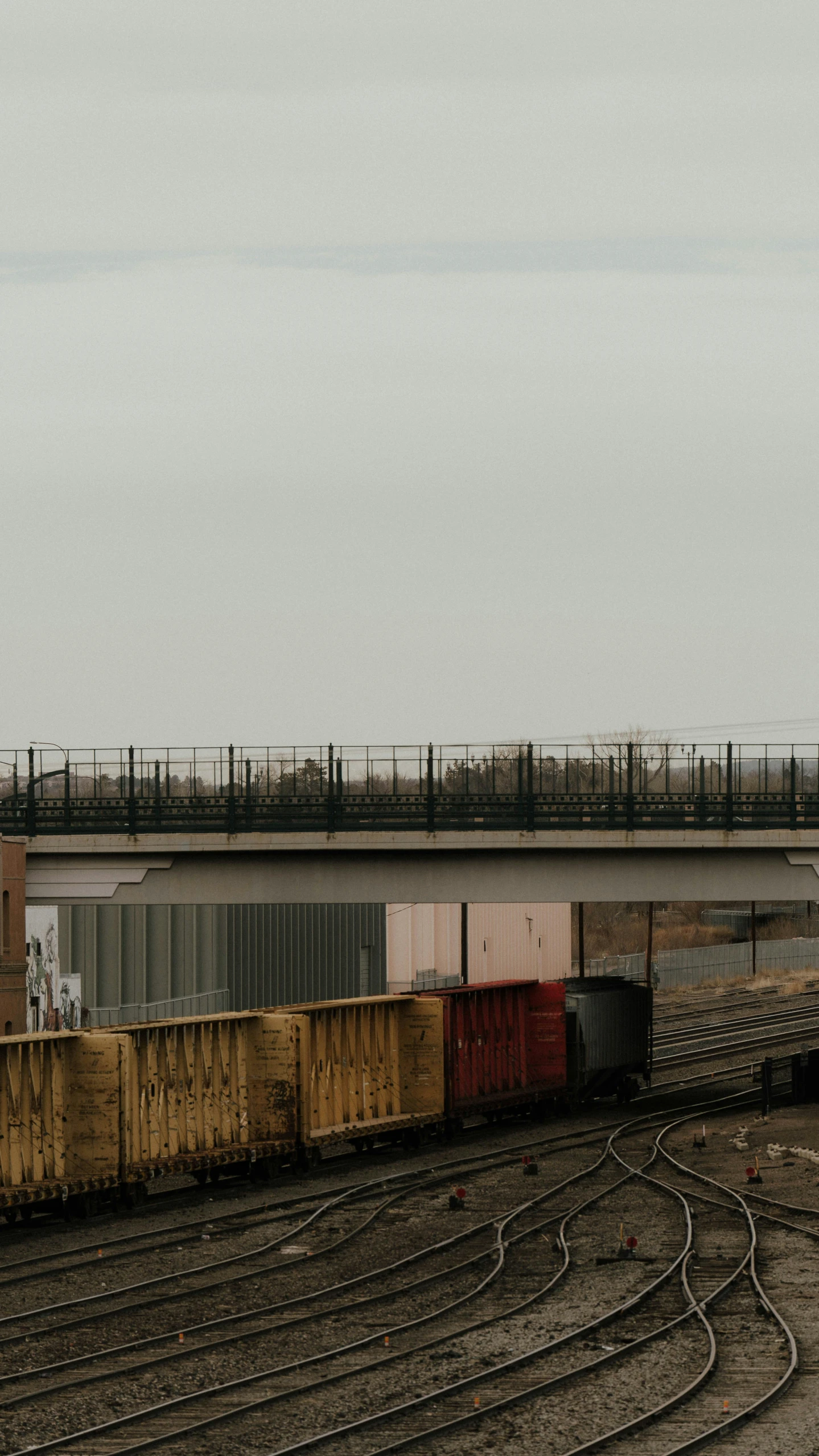 freight cars are seen on the tracks next to a bridge