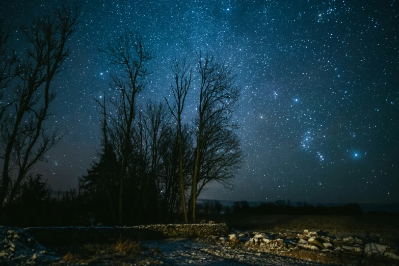 trees in a snowy area with the stars over them