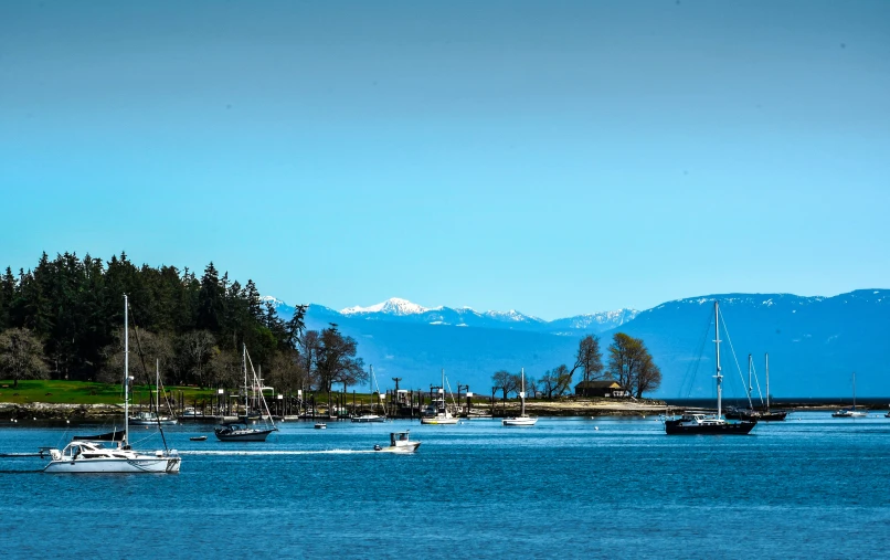 a group of boats sailing in a body of water