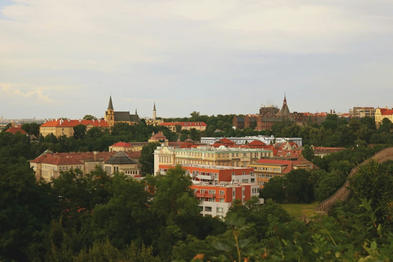 a city skyline and buildings in the middle of a forest