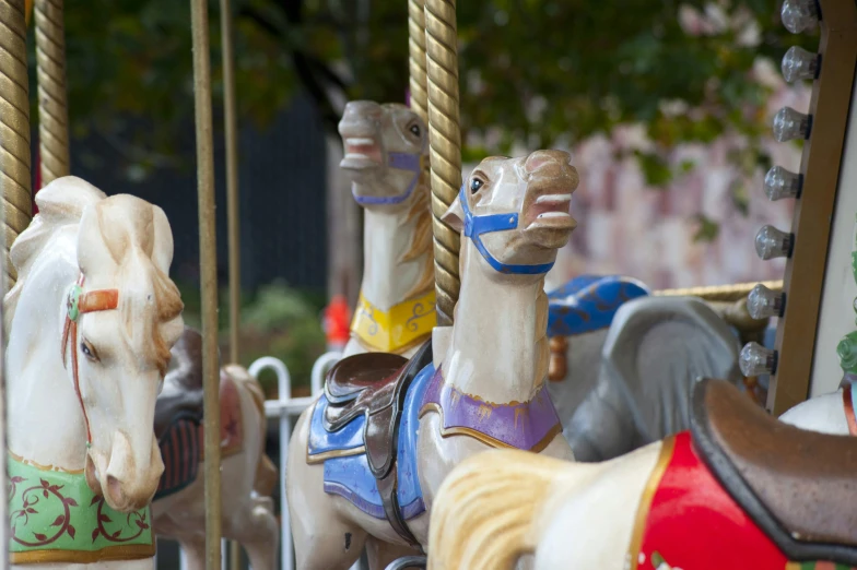 carousel horses are displayed for viewing in an amut park