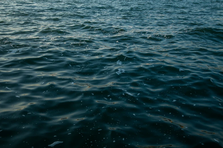 a large body of water with waves moving in both directions