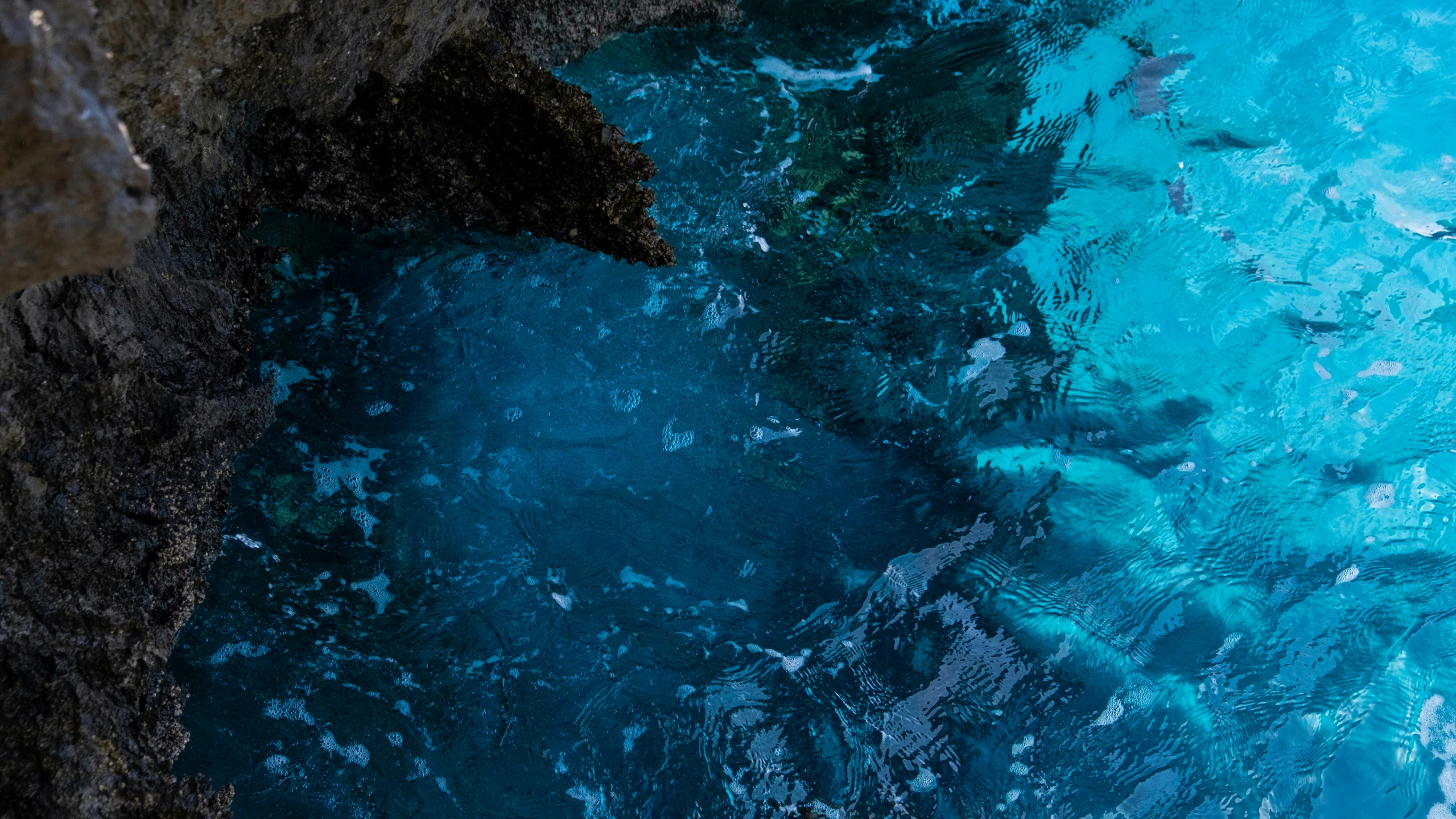 a large black animal swimming through a deep blue water