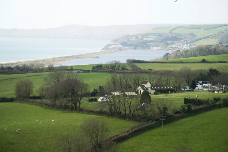 a grassy field near some water and houses