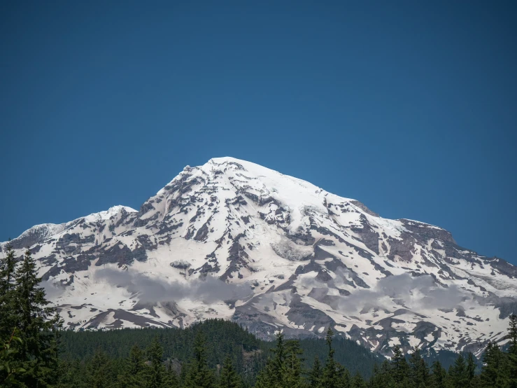 a snowy mountain peaks over trees below a blue sky