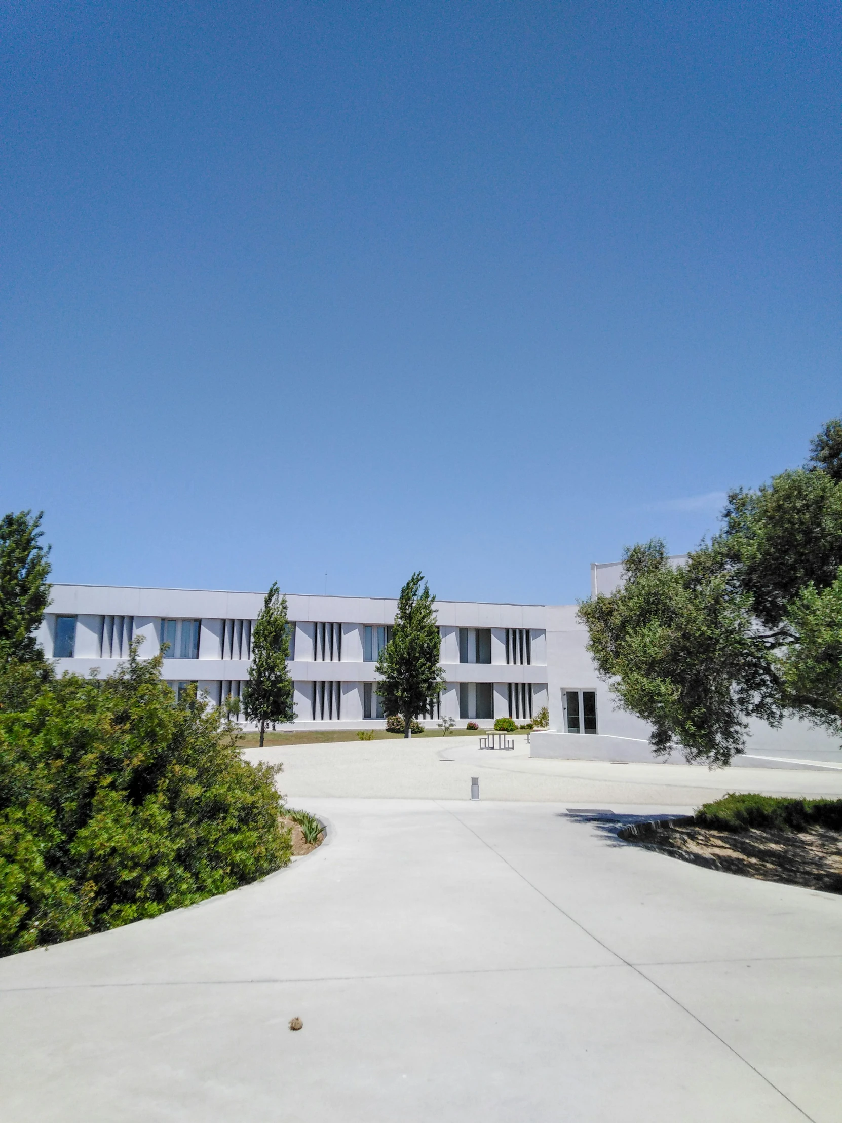 the front view of a white building with trees