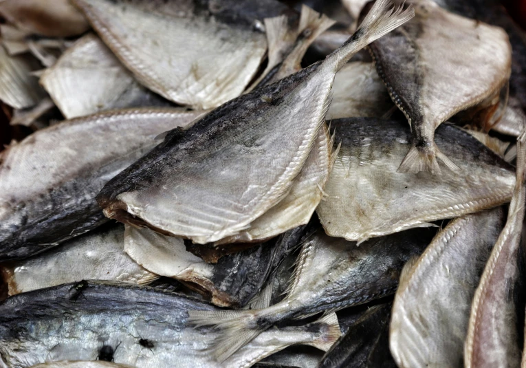 dried fish are stacked on top of each other