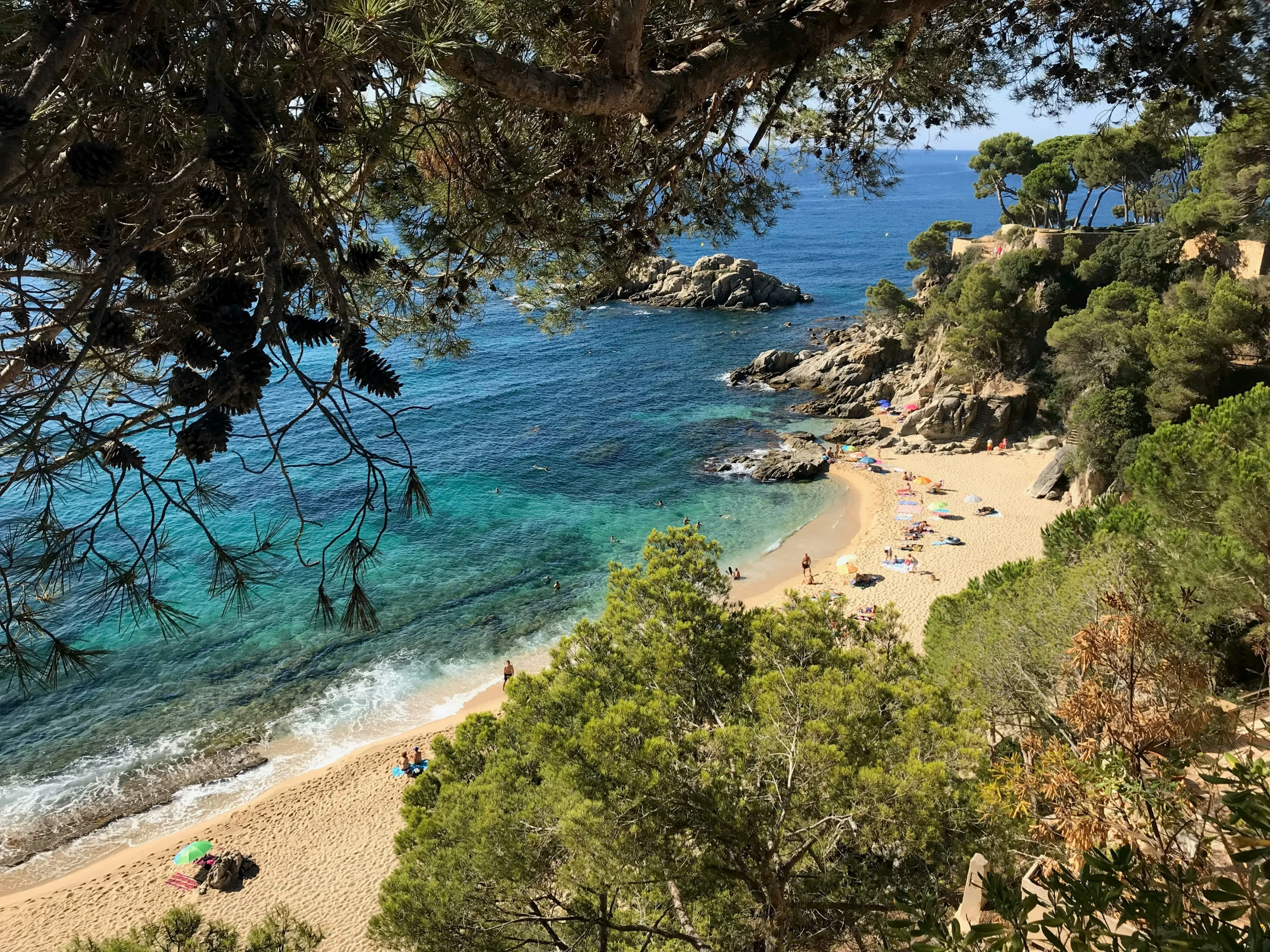 the sandy shore on a sunny day with trees and beach goers