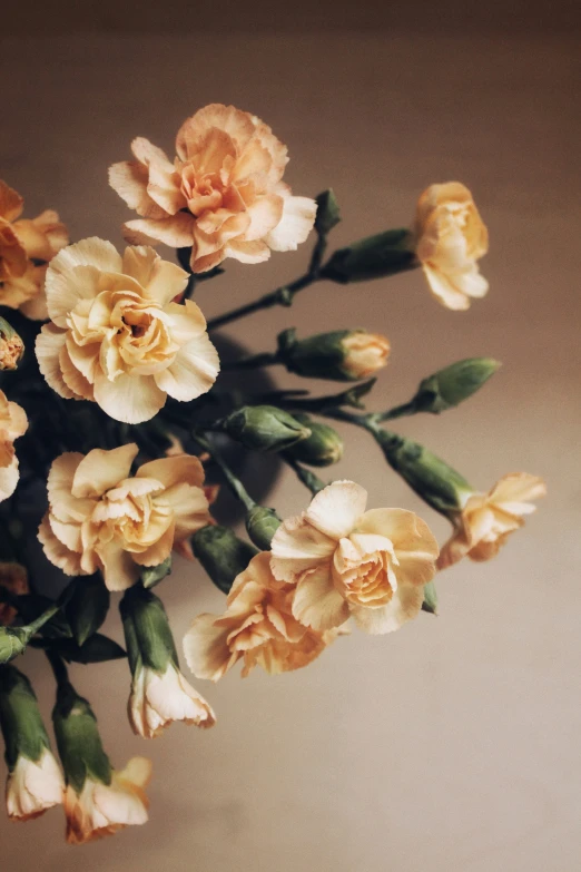 many yellow flowers growing out of the side of a table