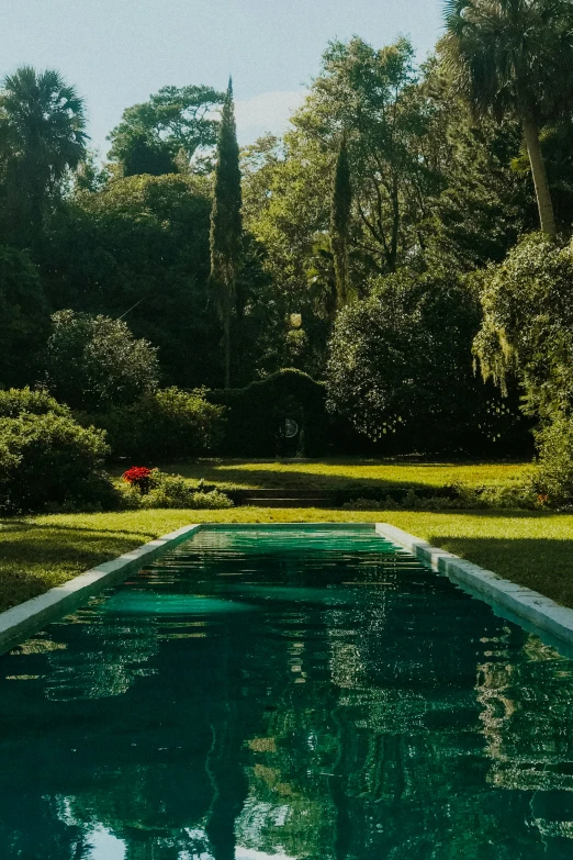 the pool is surrounded by lush green trees and shrubs