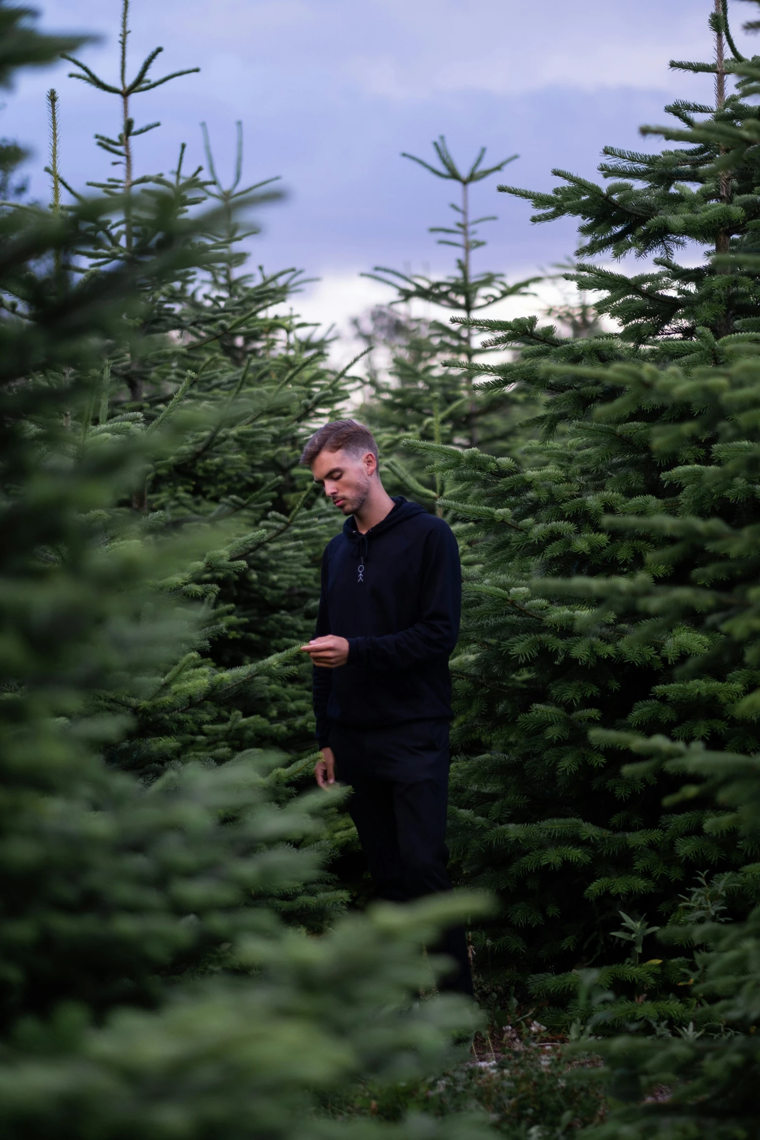 a man looks around trees in his garden