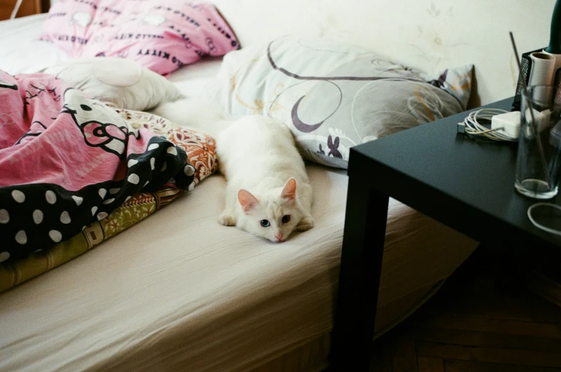 a white cat lying on a bed next to a night stand