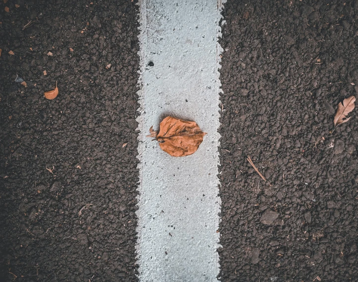 a yellow leaf sits on top of a asphalt area